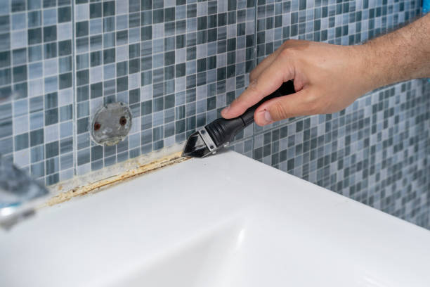 Best Mold Testing  in Lena, IL